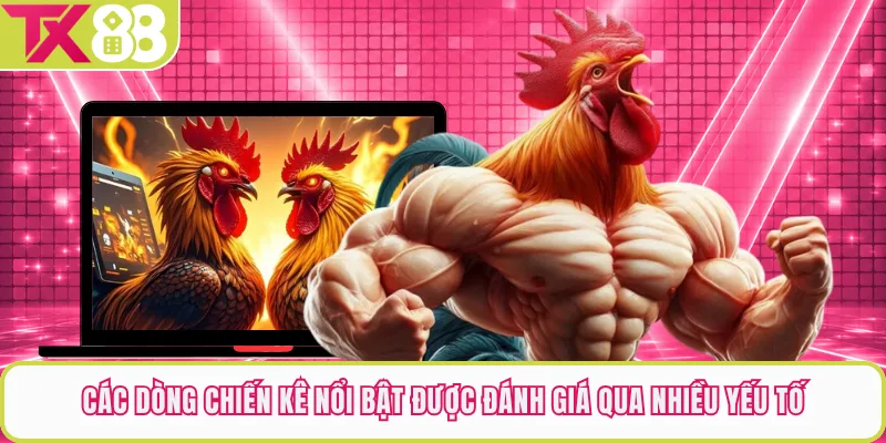 Các dòng chiến kê nổi bật được đánh giá qua nhiều yếu tố