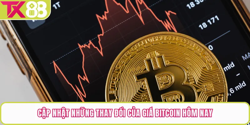 Cập nhật những thay đổi của giá bitcoin hôm nay
