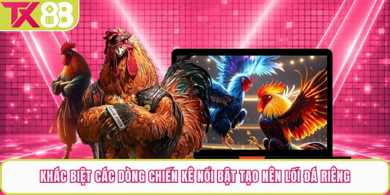 Khác biệt các dòng chiến kê nổi bật tạo nên lối đá riêng