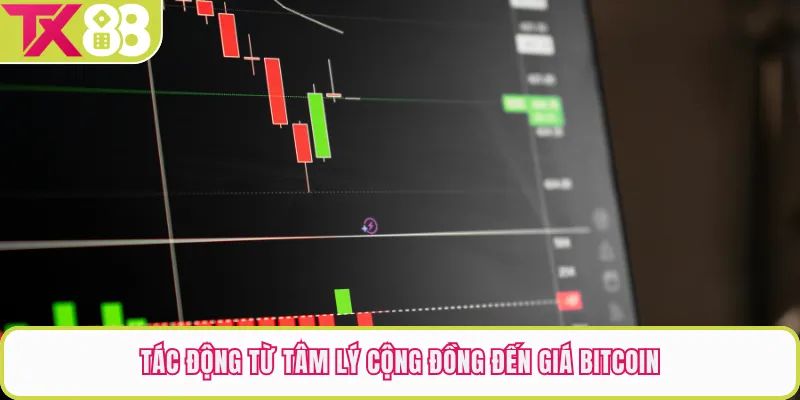 Tác động từ tâm lý cộng đồng đến giá bitcoin
