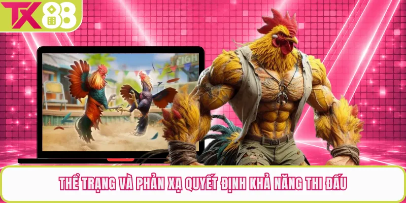 Thể trạng và phản xạ quyết định khả năng thi đấu