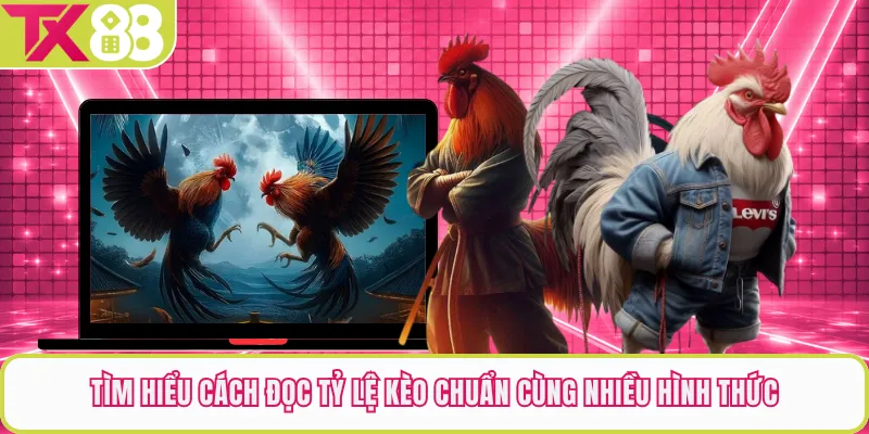 Tìm hiểu cách đọc tỷ lệ kèo chuẩn cùng nhiều hình thức