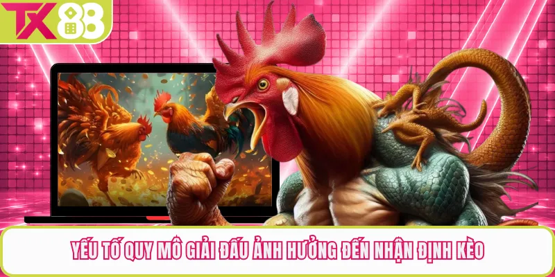 Yếu tố quy mô giải đấu ảnh hưởng đến nhận định kèo